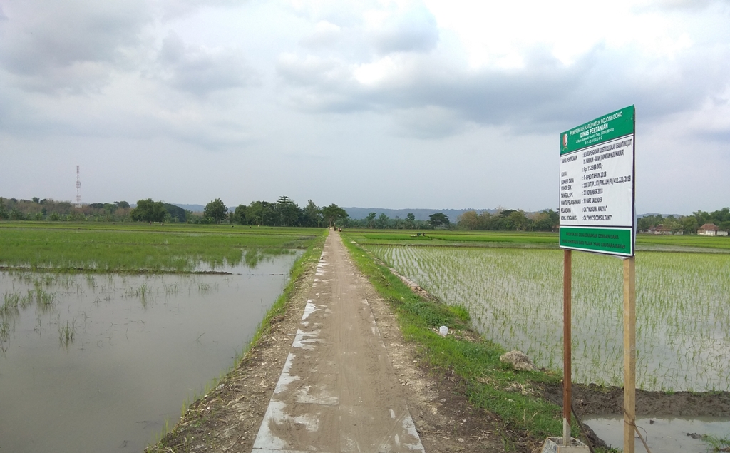 Jalan Usahatani (J U T) di Kabupaten Bojonegoro Jatim