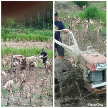 MANFAAT BRIGADE ALSINTAN BAGI KELOMPOK TANI WAHYU SEJATI DESA BOBOL KEC. SEKAR KAB. BOJONEGO