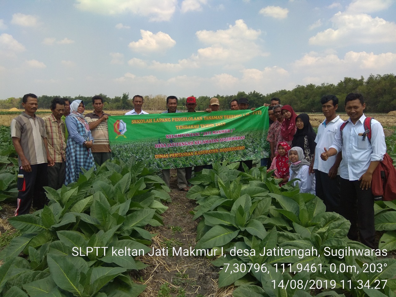 MEWUJUDKAN PETANI TEMBAKAU YANG BERDAYA SAING MELALUI SLPTT