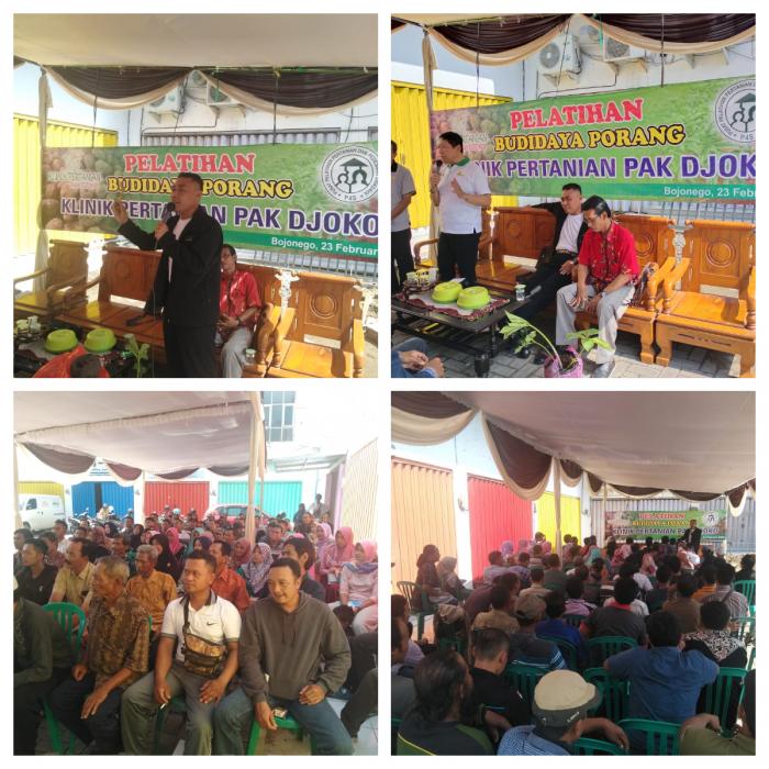 PELUANG JADI MILIADER DENGAN BUDIDAYA PORANG DI KABUPATEN BOJONEGORO