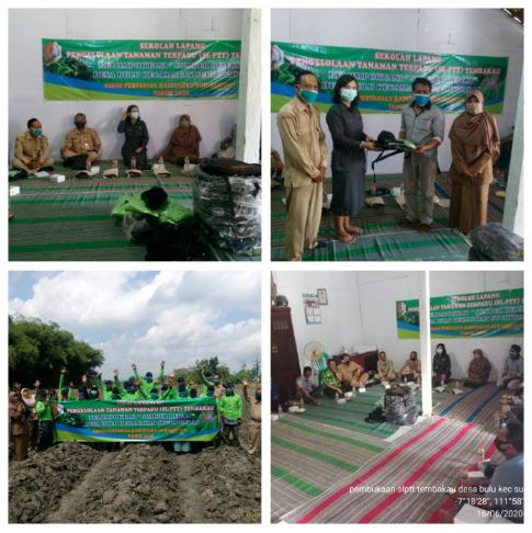 Kepala Dinas Pertanian Bojonegoro Buka SL-PTT Tembakau di Bulu Sugihwaras