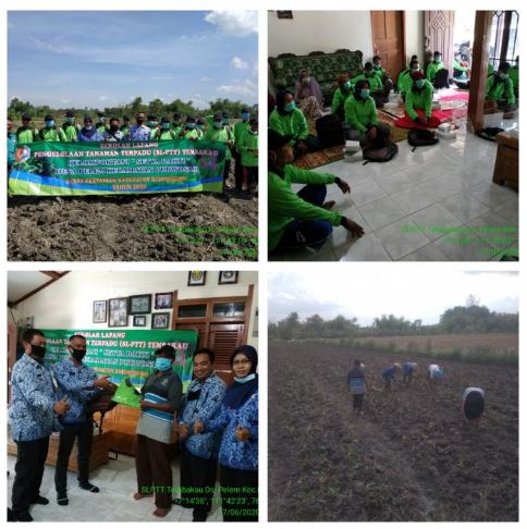 Peningkatan Pengetahuan Petani Melalui Kegiatan SL-PTT Tembakau