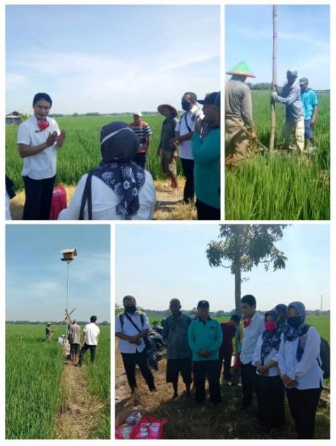 POKTAN KALANGAN MAKMUR DESA PADANGAN, PASANG RUBUHA SECARA SWADAYA