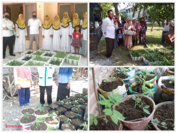 PEMANFAATAN LAHAN PEKARANGAN RUMAH, BERSAMA KELOMPOK TANI WANITA (KTW)