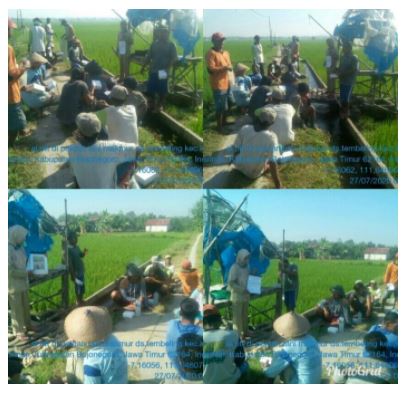 Kegiatan SL-PTT di Poktan Tani Makmur Desa Tembeling Kecamatan Kasiman