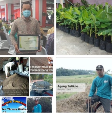 Fokus Bertani Tembus Penghargaan Daerah Kabupaten Bojonegoro Jawa Timur