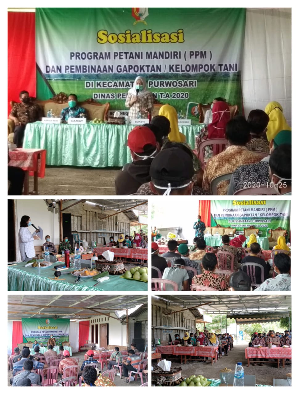 Sosialisasi Program Petani Mandiri (PPM) di Kecamatan Purwosari