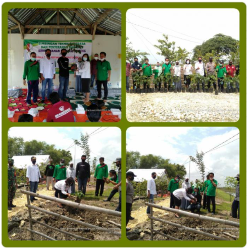 MENUJU AGROWISATA DENGAN BUDIDAYA KELENGKENG DI DESA MOJOSARI KECAMATAN KEPOHBARU KAB. BOJONEGORO