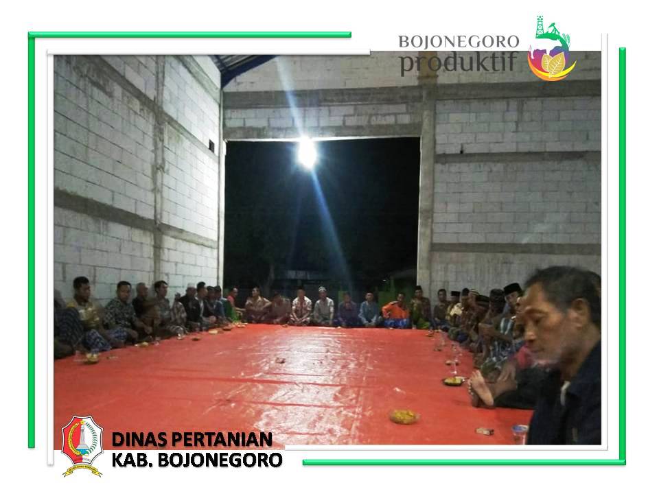 Persiapan Tanam Padi Musim Tanam 2020/2021 di Desa Panunggalan Kec. Sugihwaras