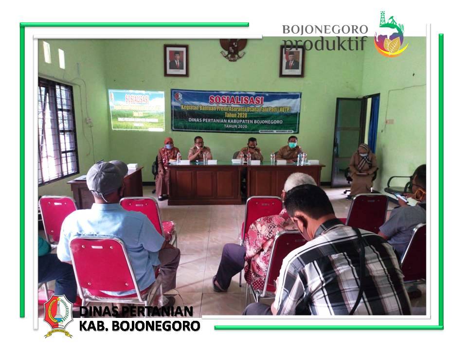 SOSIALISASI ASURANSI USAHA TANI PADI (AUTP) TAHUN 2020  DI KECAMATAN KAPAS