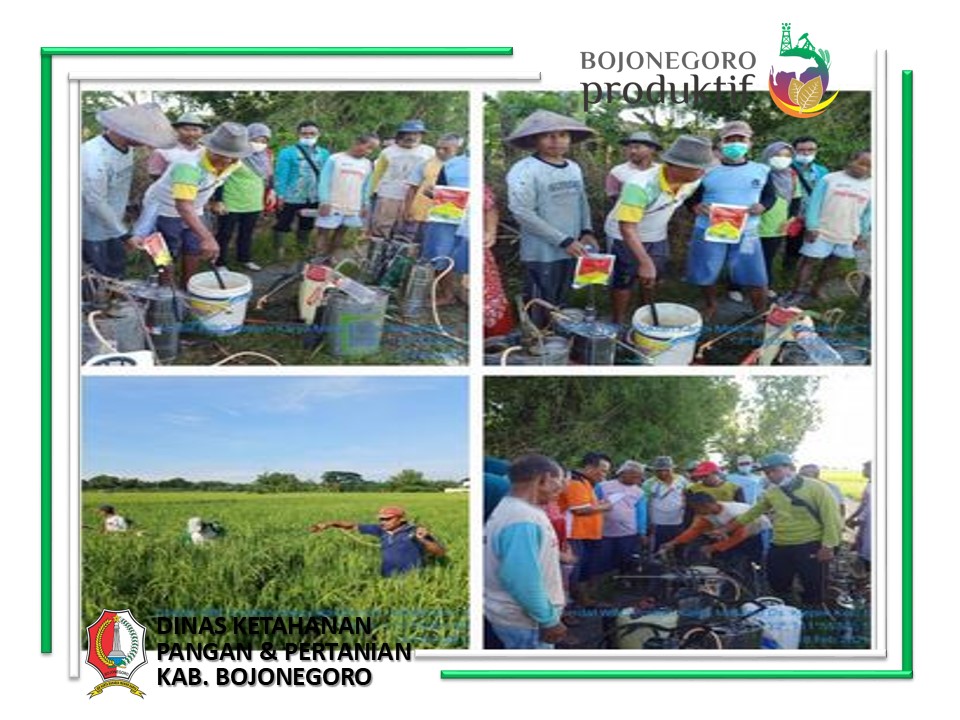Gerdal WBC Poktan Karya Makmur Desa Klepek Kecamatan Sukosewu Kabupaten Bojonegoro