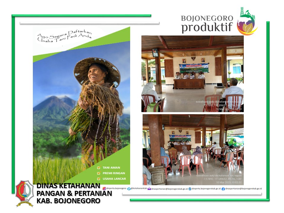 Program Asuransi Usaha Tani Padi (AUTP) Untuk Petani