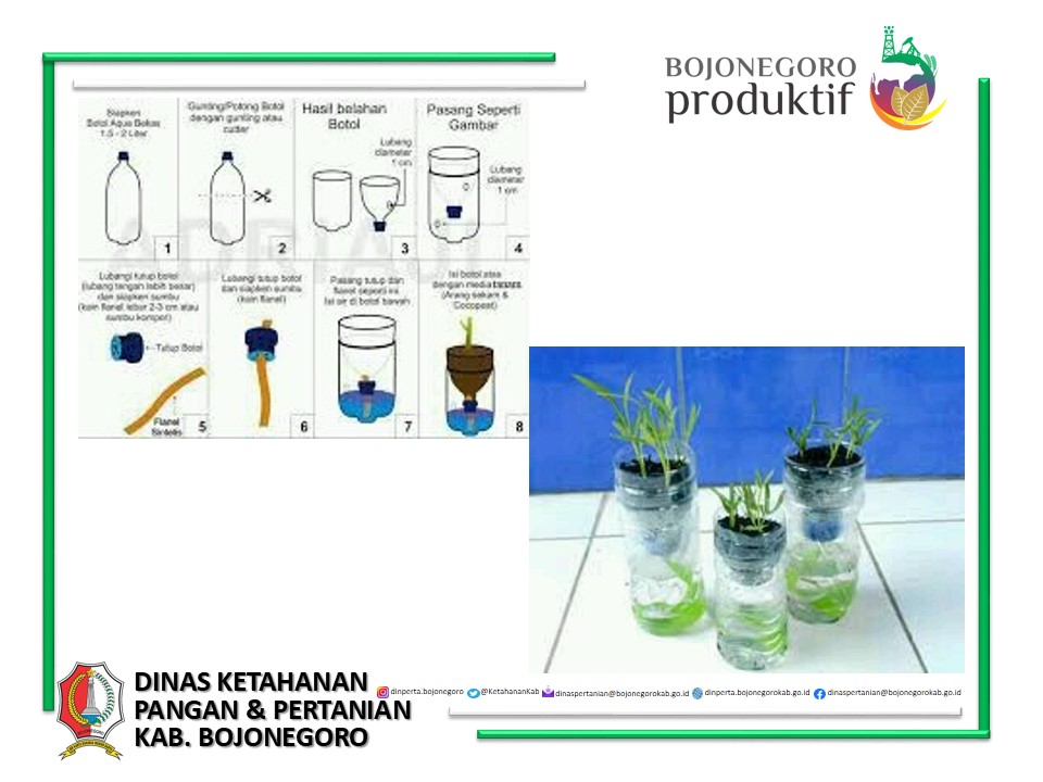 APA ITU HIDROPONIK????