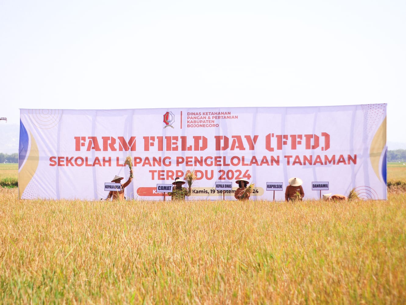 Farm Field Day, DKPP Bojonegoro Panen Raya Padi Hasil Pengelolaan Tanaman Terpadu