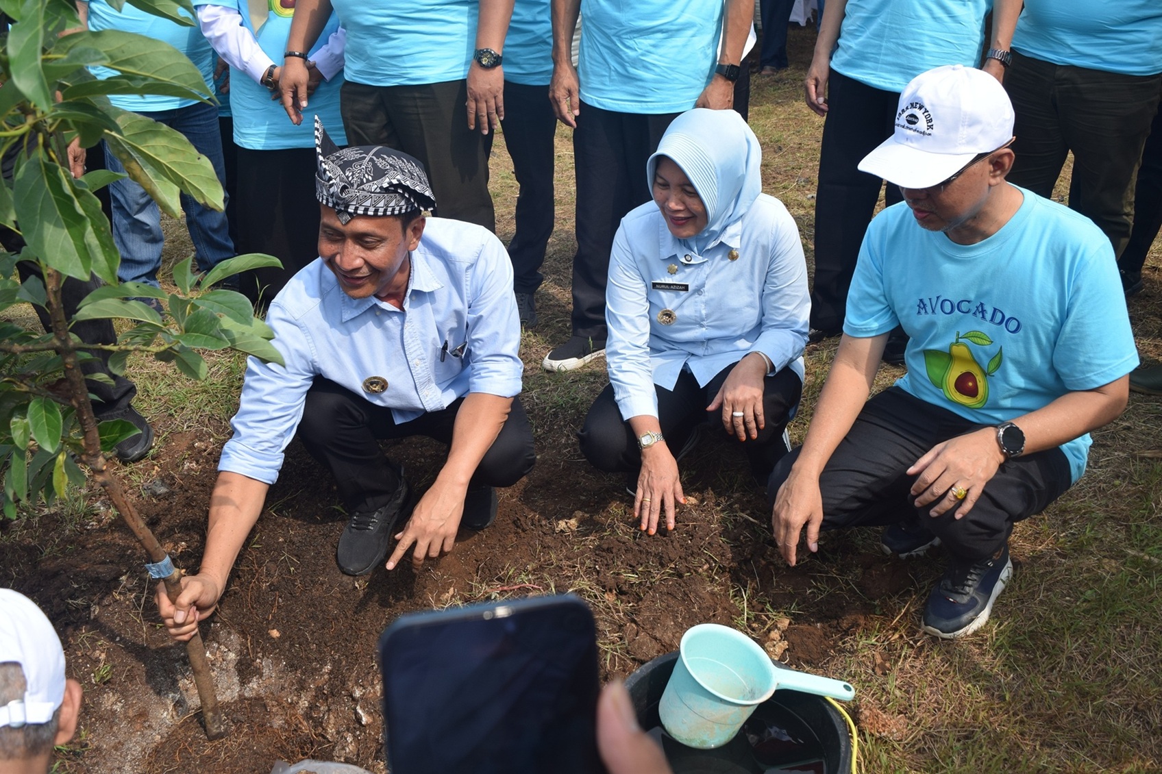Kolaborasi Pemkab Bojonegoro, Perhutani, dan Dinas Ketahanan Pangan dan Pertanian Tanam Alpukat Siger di Lahan Hutan: Dorong Produktivitas dan Konservasi