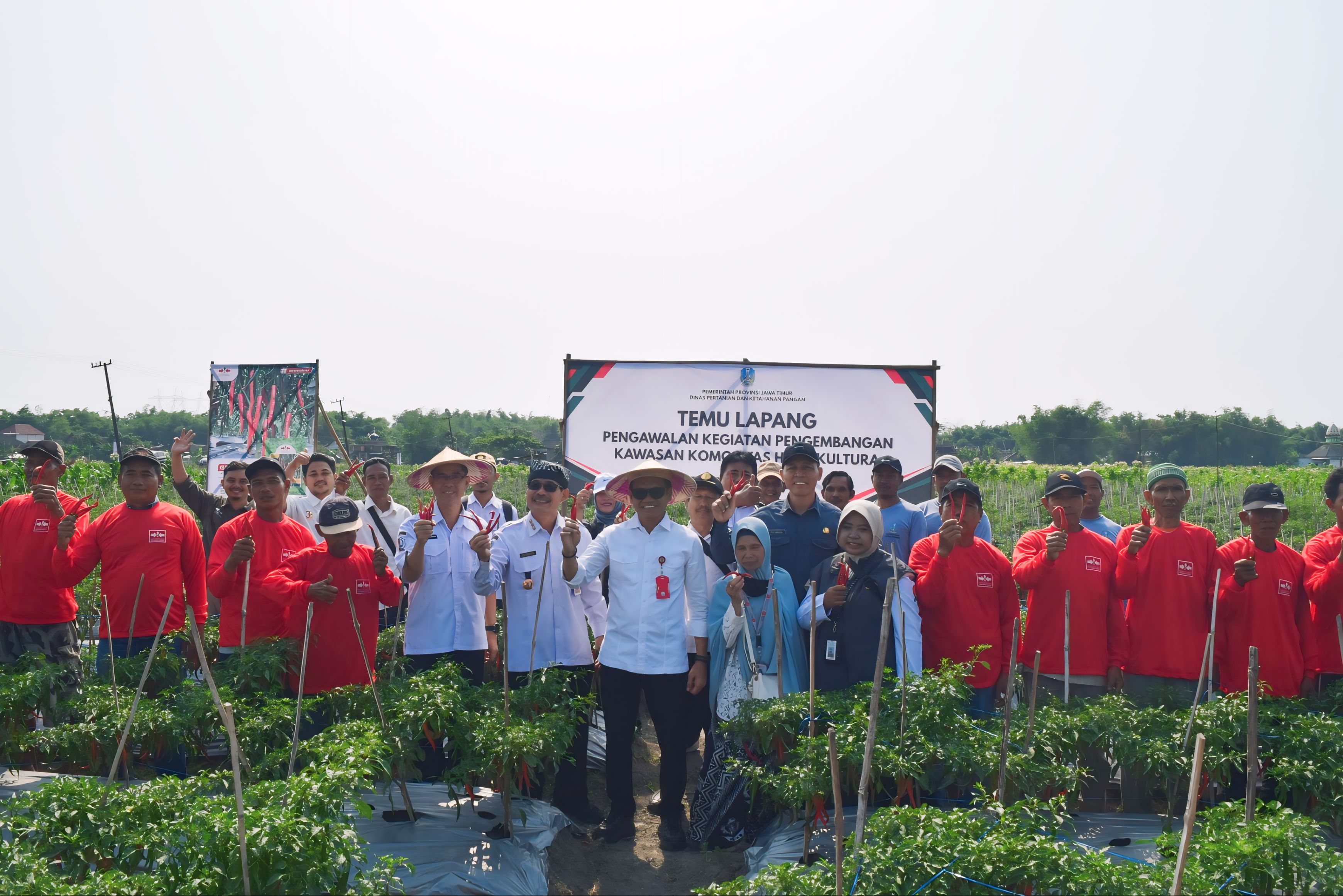 Temu Lapang Hortikultura di Bojonegoro: Sinergi Tingkatkan Produksi, Petani Didorong Berinovasi