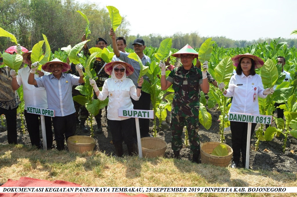 PREDIKSI IKLIM TERHADAP KELANGSUNGAN SEKTOR ON FARM TEMBAKAU BOJONEGORO DIMASA PANDEMI