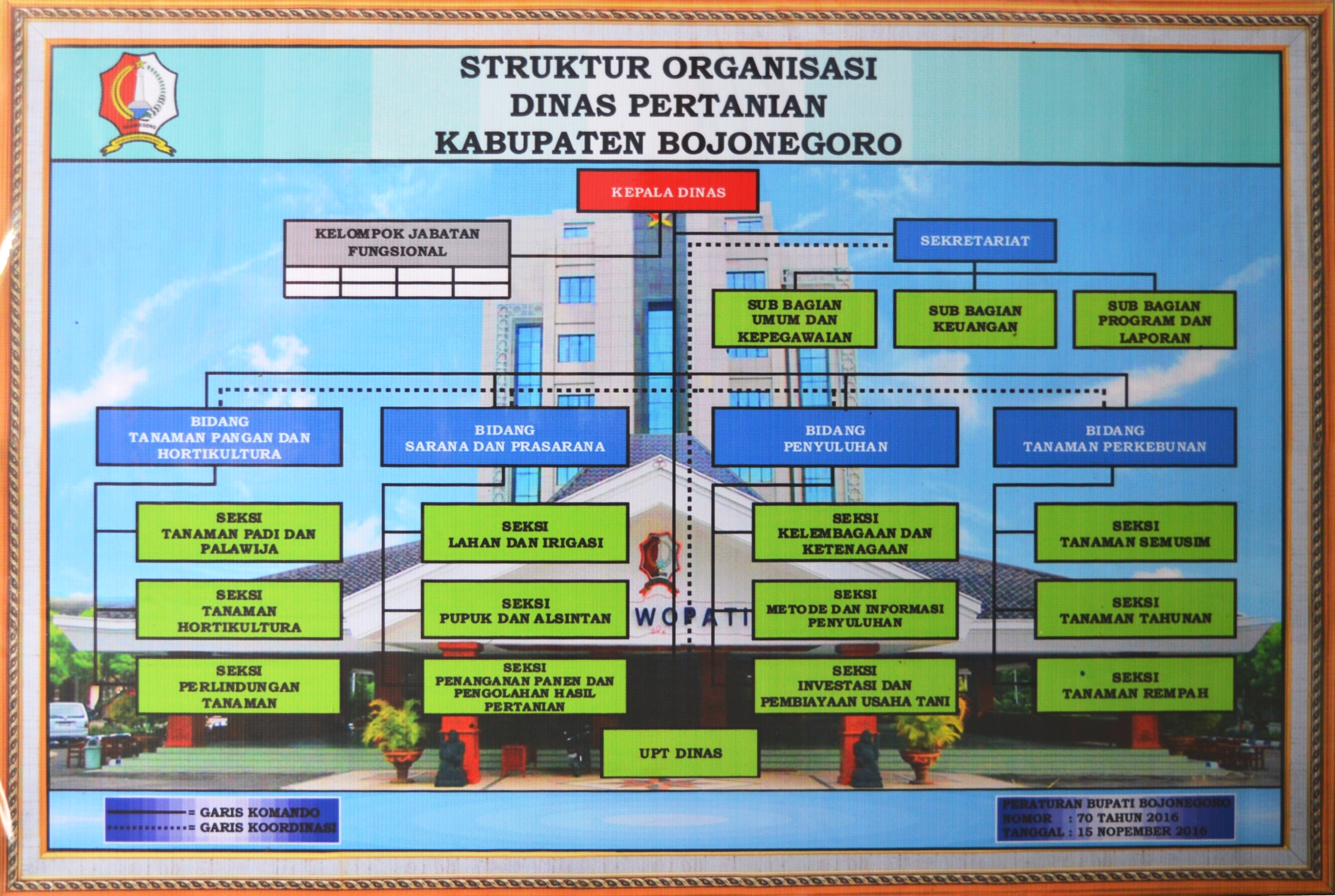 STRUKTUR ORGANISASI