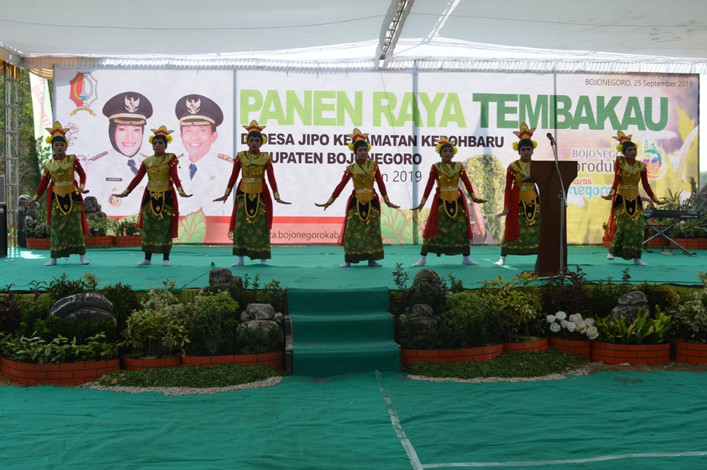 PANEN RAYA TEMBAKAU TAHUN 2019
