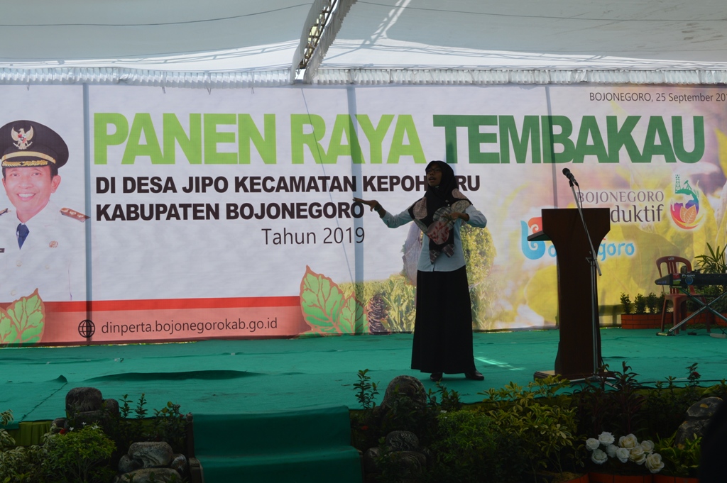 PANEN RAYA TEMBAKAU TAHUN 2019