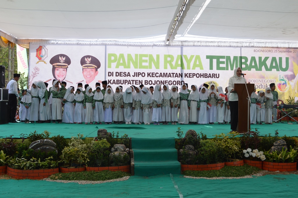 PANEN RAYA TEMBAKAU TAHUN 2019
