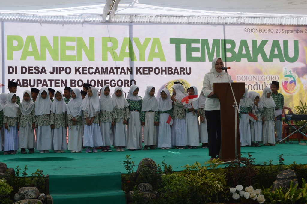 PANEN RAYA TEMBAKAU TAHUN 2019