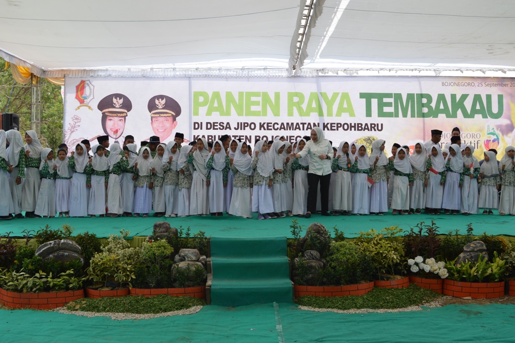 PANEN RAYA TEMBAKAU TAHUN 2019