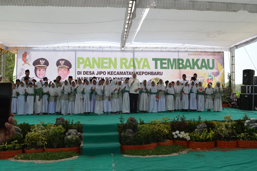 PANEN RAYA TEMBAKAU TAHUN 2019