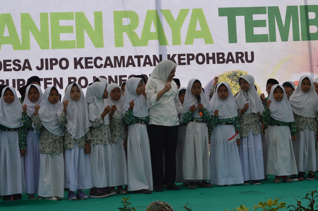 PANEN RAYA TEMBAKAU TAHUN 2019