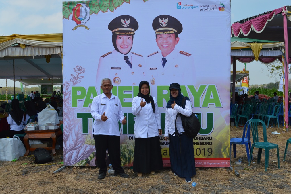 PANEN RAYA TEMBAKAU TAHUN 2019
