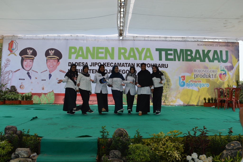 PANEN RAYA TEMBAKAU TAHUN 2019